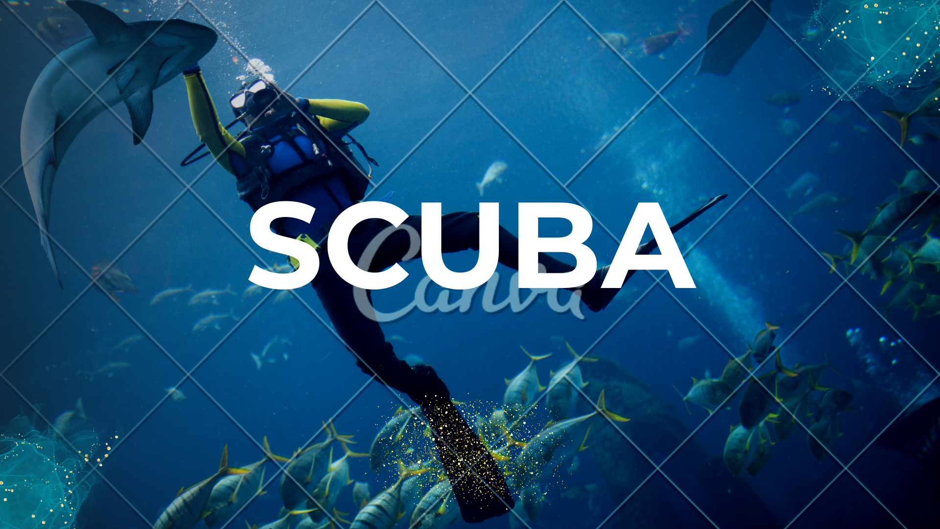 Diving and Aquatic Presentation Template (1)