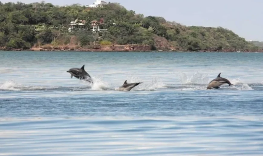 Experience Luxury Living by the Sea